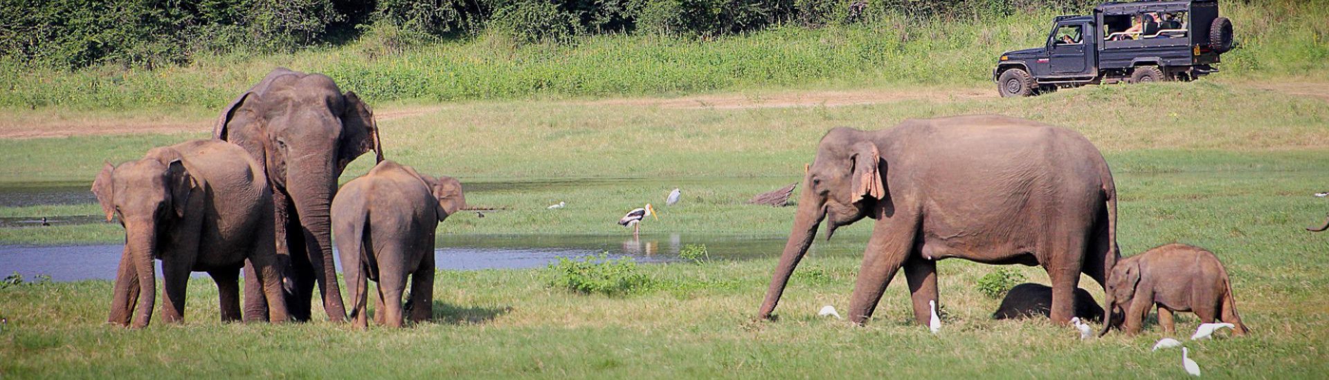 Sri Lanka